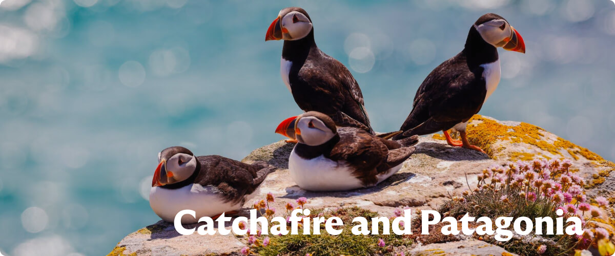 Catchafire and Patagonia