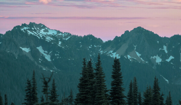 Case study cover image of mountains and trees in the PNW